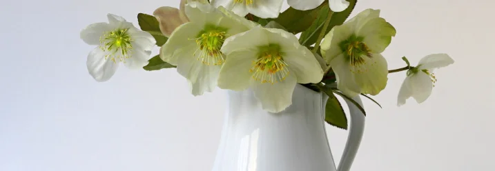 Blumenstrauß in weißer Vase